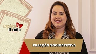 Explica Direito Filiação Socioafetiva  2019 [upl. by Ahsenyt]