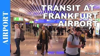 TRANSIT WALK AT FRANKFURT Airport FRA Terminal 1  Connection Flight Transfer Arriving amp Departing [upl. by Adia60]